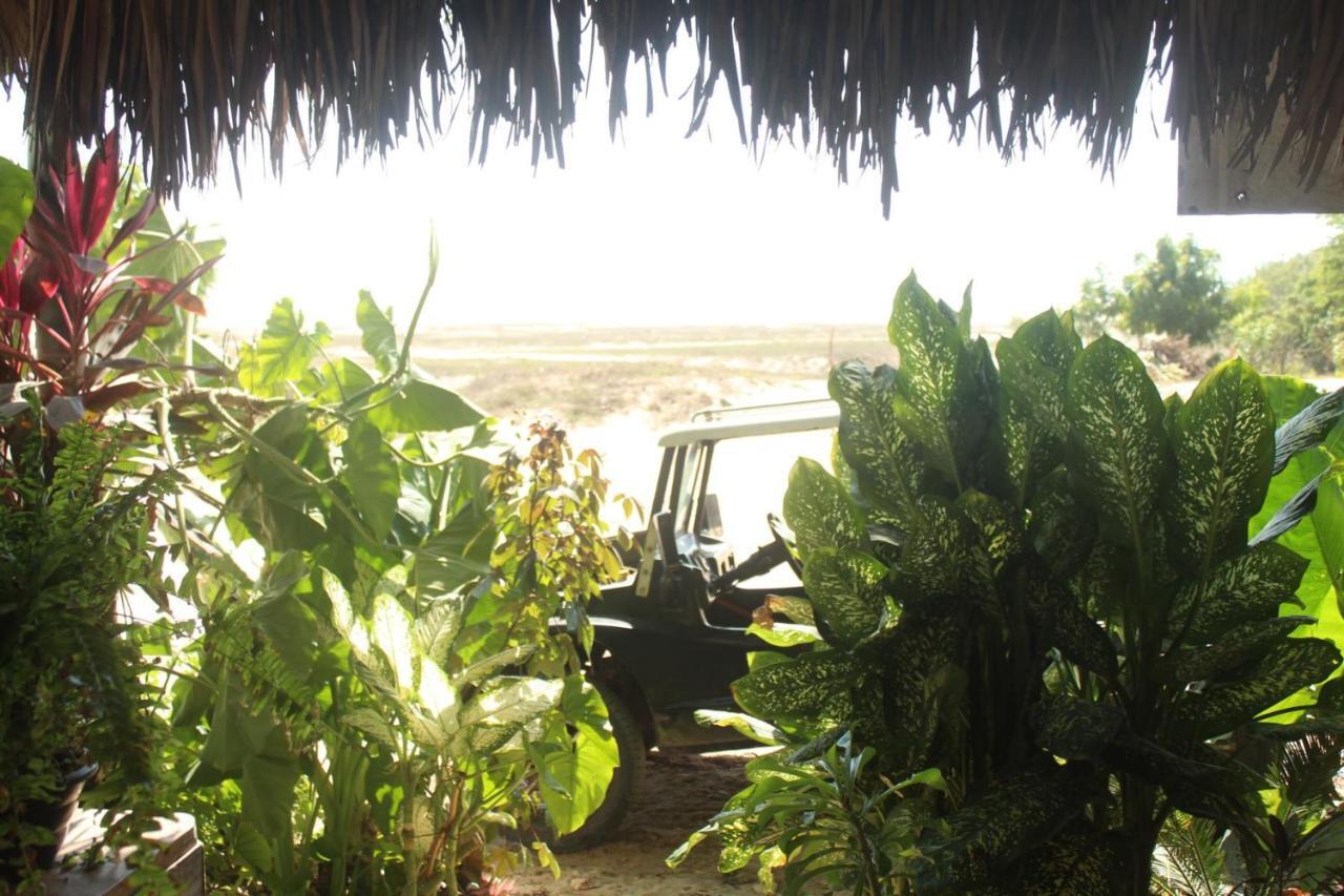 Villa Dunas Jeri Jijoca de Jericoacoara Exteriör bild